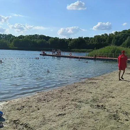 Wilczyca * ビルチン